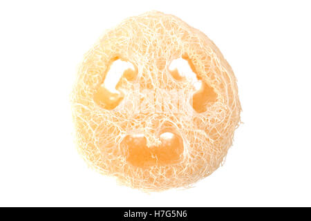 Loofah éponge naturelle du corps pour enlever les saletés et les peaux mortes isolé sur fond blanc Banque D'Images