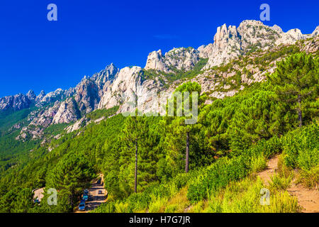 Pins dans les montagnes près de Col de Bavella Zonza ville, Corse, France, Europe. Banque D'Images