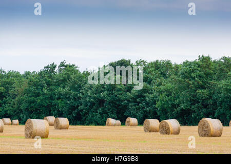 Campagne italienne panorama. Les balles rondes sur champ de blé. L'agriculture, de la vie rurale Banque D'Images