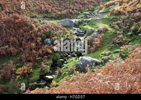 Un petit cours d'eau dans le Lake District Banque D'Images