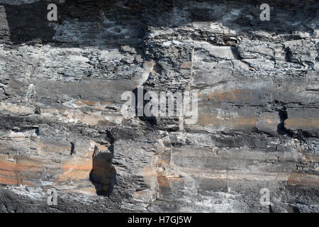 Les falaises de Kimmeridge Bay, Dorset, UK Banque D'Images