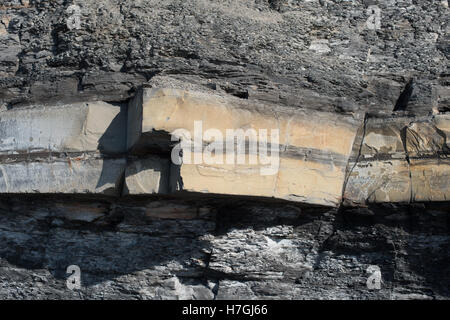 Lits de dolomie Kimmeridge Bay, Dorset, Banque D'Images