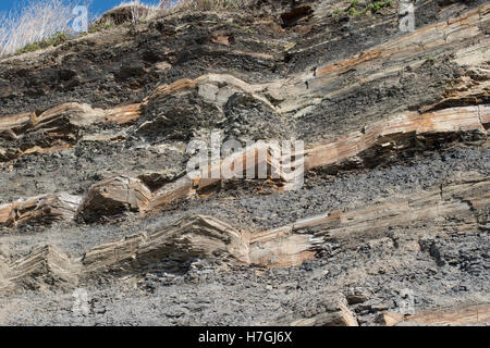 Lits de dolomie Kimmeridge Bay, Dorset, Banque D'Images