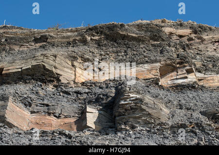 Lits de dolomie Kimmeridge Bay, Dorset, Banque D'Images