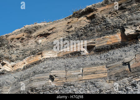 Lits de dolomie Kimmeridge Bay, Dorset, Banque D'Images