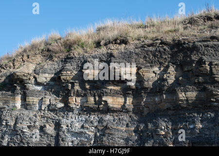 Les falaises de Kimmeridge Bay, Dorset, UK Banque D'Images