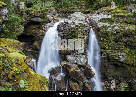 Le naseux de chutes, une belle cascade dans le Mt Baker sauvagerie. Washington, USA. Banque D'Images