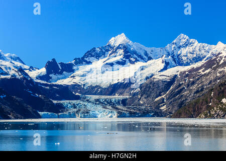 D'entrée de l'Université Johns Hopkins à Glacier Bay National Park, Alaska Banque D'Images