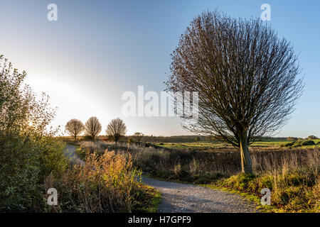 Lever du soleil d'automne à Fewston réservoir, près de Harrogate North Yorkshire Banque D'Images