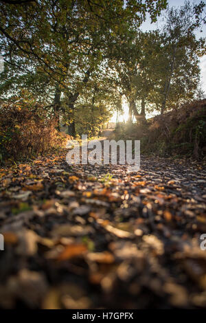Lever du soleil d'automne à Fewston réservoir, près de Harrogate North Yorkshire Banque D'Images