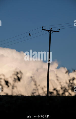 La silhouette d'un oiseau posé sur un fil télégraphique contre un ciel nuageux ciel bleu Banque D'Images