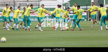 Sao Paulo, Brésil. 05Th Nov, 2016. TREINO N PALMEIRAS - Les joueurs de se Palmeiras, au cours de la formation, l'Académie de football. Crédit : Foto Arena LTDA/Alamy Live News Banque D'Images