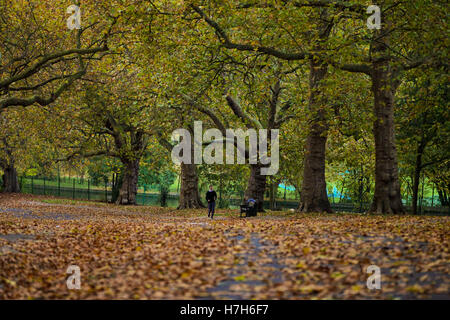 Finsbury Park, Londres, UK. 5ème Nov, 2016. Scènes d'automne par une froide soirée à Finsbury Park, au nord de Londres : Crédit Dinendra Haria/Alamy Live News Banque D'Images