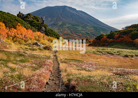 Vue du Mt. Asahidake, Parc National de Daisetsuzan, Hokkaido à partir d'un chemin de randonnée à l'automne Banque D'Images