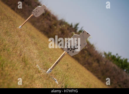 Les cibles d'acier sur des socles en bois qui sont utilisés pour les exercices de tir Banque D'Images