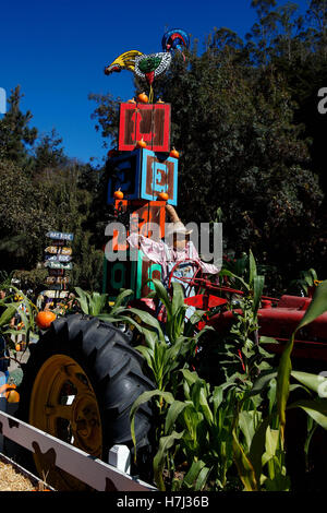 Afficher la ferme de l'Halloween avec des citrouilles, Lemos Farm, Half Moon Bay, Californie, États-Unis d'Amérique Banque D'Images