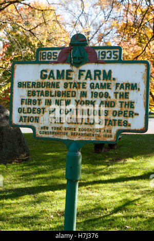 GAME FARM 1885-1935 Sherburne State Game Farm, créé en 1909. La première à New York et le plus ancien en Banque D'Images