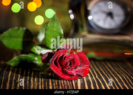 Roses rouges sur fond flou Banque D'Images