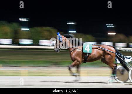 - Effet panoramique photo floue nuit course de chevaux historique Banque D'Images