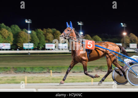- Effet panoramique photo floue nuit course de chevaux historique Banque D'Images