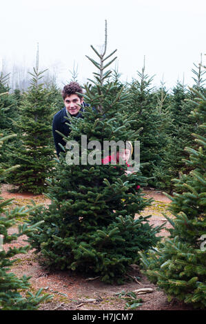 S'amusant à la couper votre propre Christmas Tree Farm Banque D'Images