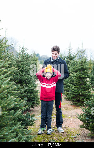 S'amusant à la couper votre propre Christmas Tree Farm Banque D'Images