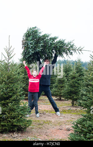 S'amusant à la couper votre propre Christmas Tree Farm Banque D'Images