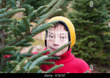 S'amusant à la couper votre propre arbre de Noël farn Banque D'Images