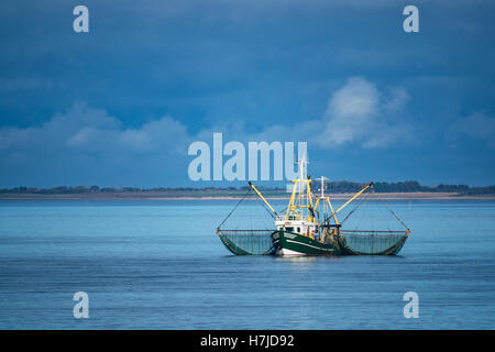 Bateau de crevettes sur la mer du Nord, Allemagne Banque D'Images