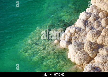 Les dépôts de sel sur la côte rocheuse de la Mer Morte, Jordanie Banque D'Images