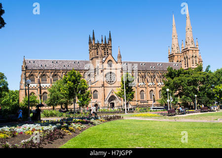 Cathédrale St Marys Australie Sydney vue de Hyde Park Banque D'Images