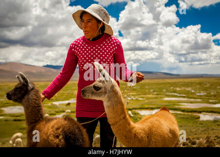 Femme péruvienne tenant deux alpagas, avec un beau paysage Banque D'Images