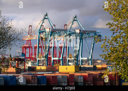 Peel ports £300m de profondeur côté rivière porte-conteneurs extension de terminal portique et portique porte-à-faux géant grues megamax (CRMG) qui peut maintenant décharger les plus grands conteneurs dans le monde. Expédition dans le port de Liverpool, L2 Merseyside, Royaume-Uni Banque D'Images