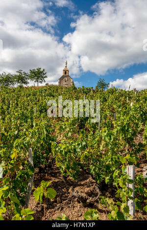 La chapelle Saint Michel au village Fleurie Beaujolais, vignoble, département du Rhône, région Auvergne-Rhône-Alpes, France, Europe Banque D'Images