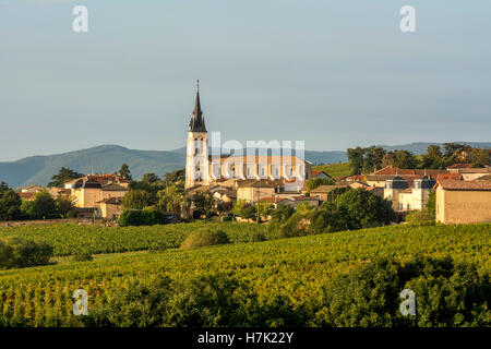 Beaujolais, village fleuri et son vignoble, département Rhône, Auvergne Rhône Alpes. France, Europe Banque D'Images