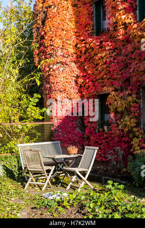 Automne feuilles colorées à un bâtiment dans la vallée de la Moselle, l'Allemagne, Banque D'Images