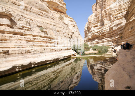 Ein Avdat, doux printemps de l'eau dans le désert du Néguev, Israël près du kibboutz Sdé Boker Banque D'Images