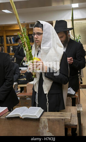 Un jeune homme juif religieux priant sur Souccot avec un loulav et etrog dans une synagogue à Brooklyn, New York. Banque D'Images