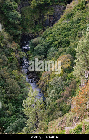 Un Lethallt, Lealt Falls, île de Skye, Écosse, Trotternish Banque D'Images