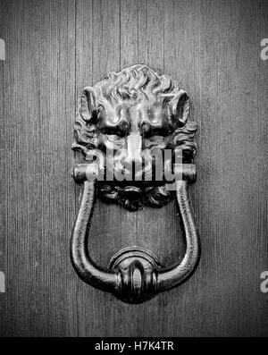 Knocker en métal tête de lion sur la vieille porte de bois, noir et blanc Banque D'Images