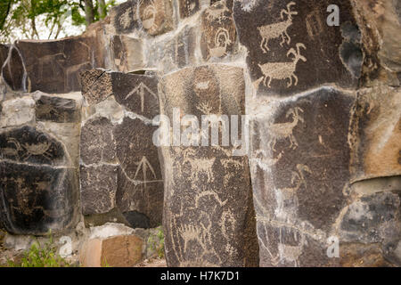 Falaise d'anciens pétroglyphes Dessins Ginko Forêt Pétrifiée Washington USA Banque D'Images