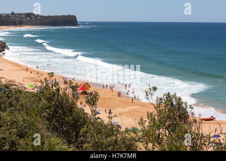 Voir à au nord le long de la plage, l'un de Warriewood la célèbre plages du nord de Sydney, Nouvelle Galles du Sud, Australie Banque D'Images