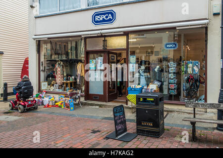 La RSPCA Magasin de charité Faversham Kent England Banque D'Images