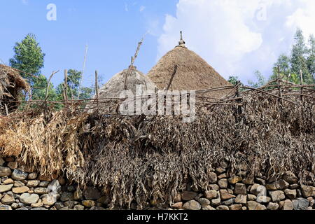 Mur en pierre et la garrigue et des toits de chaume de cabanes dans un petit hameau de la paroi le long du peuple Oromo Debre Sina-Addis Addis-abeba rd Banque D'Images