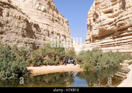 Ein Avdat, doux printemps de l'eau dans le désert du Néguev, Israël près du kibboutz Sdé Boker Banque D'Images