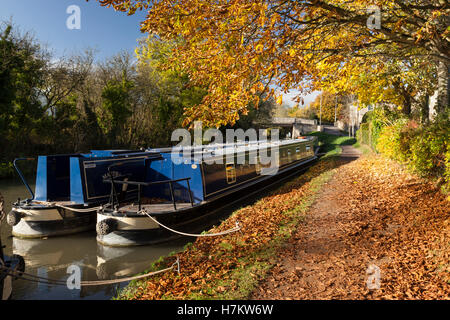 Couleur d'automne vive le long du canal Kennet et Avon, Bradford on Avon, Wiltshire, Angleterre, Royaume-Uni Banque D'Images
