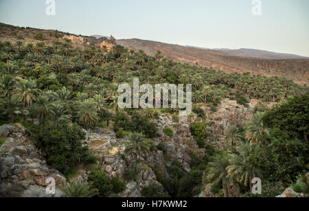 Village traditionnel de In Misfat Al Abereen à Nizwa, Oman Banque D'Images