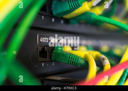 Câbles Ethernet branchés sur un serveur informatique de bureau - Royaume-Uni. Concept : stockage dans le cloud, centre de données, centre de données, réseau, infrastructure INFORMATIQUE Banque D'Images