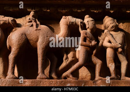 Sculpture sculpture en grès chameau à Khajuraho Lakshmana Temple site du patrimoine mondial de l'Inde Banque D'Images