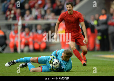 Hoffenheim est gardien Oliver Baumann (avant) et Munich's Robert Lewandowski en action au cours de la Bundesliga match de foot entre FC Bayern Munich 1899 Hoffenheim et à l'Allianz Arena de Munich, Allemagne, 5 novembre 2016. PHOTO : ANDREAS GEBERT/dpa Banque D'Images